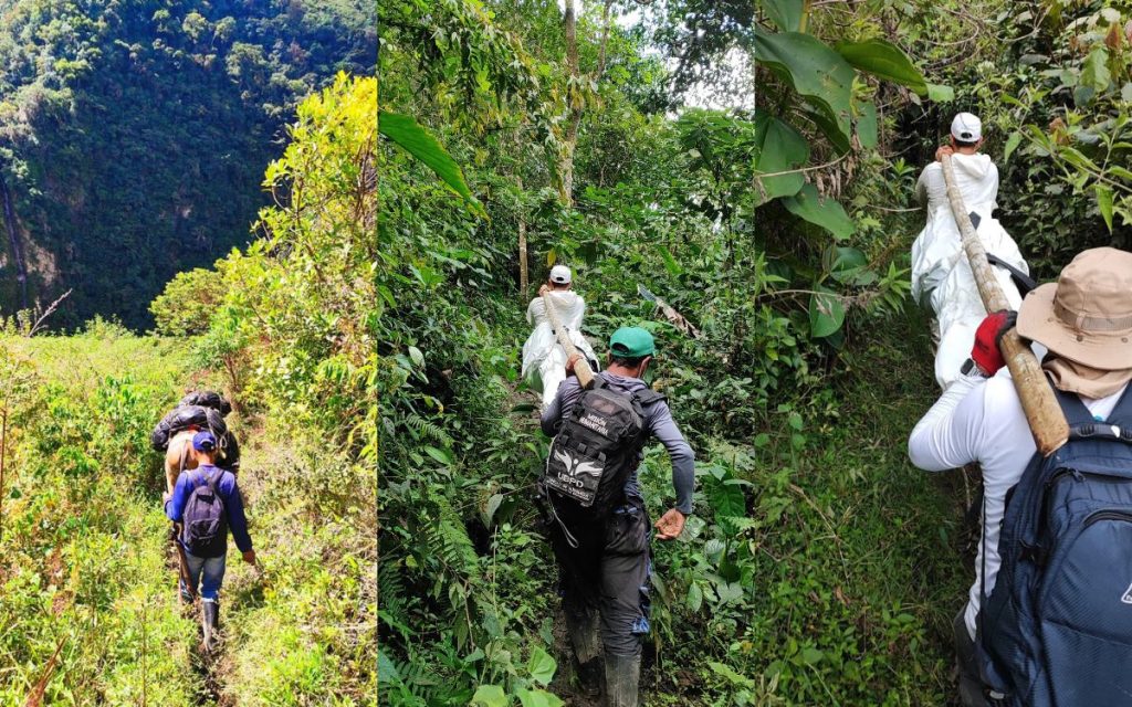Durante dos décadas, el Parque Nacional Natural Gloria Valencia de Castaño, en el Tolima, guardó silencio. Entre sus 125.000 hectáreas de páramo y bosque andino, donde el Tolima se encuentra con el Valle del Cauca, reposan los cuerpos de muchas personas en el marco del conflicto, según las narrativas de pobladores y guardianes.