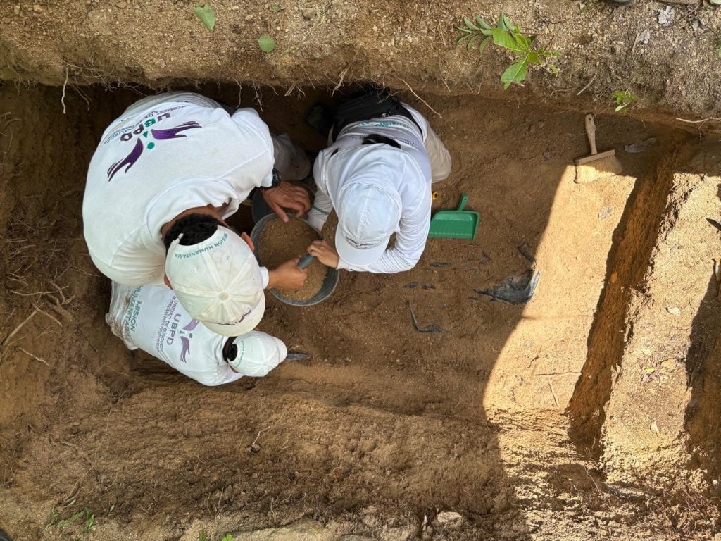 Toma desde arriba que muestra a tres miembros de la UBPD agachados dentro de una fosa rectangular. Llevan camisetas blancas con insignias de la misión humanitaria y gorras. Uno de ellos sostiene un cernidor de tierra sobre una vasija, mientras los otros dos utilizan herramientas pequeñas y un recogedor verde para despejar suavemente la superficie del fondo de la fosa.