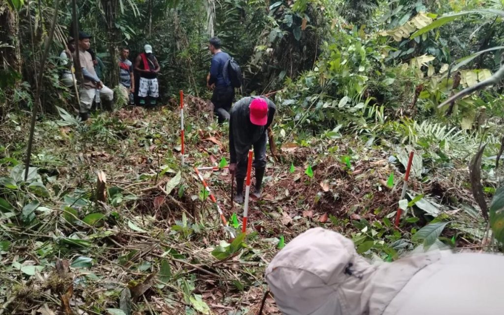 Fotografía tomada en medio de una selva densa y vegetación abundante. En el centro, una persona con gorra roja y botas altas se agacha para excavar o examinar el terreno dentro de una zona delimitada por estacas blancas y rojas y pequeñas banderas verdes. En el fondo, al lado izquierdo, un grupo de hombres observa el trabajo de prospección.