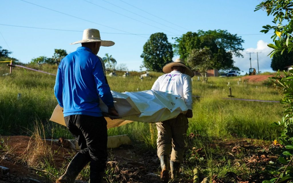 Vista trasera de dos personas caminando por un prado con vegetación alta y cruces al fondo. La persona de la izquierda viste camiseta azul brillante y sombrero de paja; la persona de la derecha lleva el uniforme blanco de la UBPD con el texto "Misión Humanitaria". Ambos sostienen cuidadosamente una superficie con un envoltorio blanco para el traslado seguro del hallazgo.