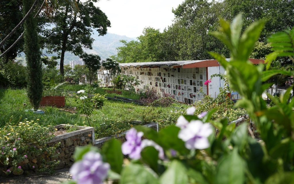 Paisaje de un cementerio rodeado de naturaleza. En primer plano se aprecian flores de color violeta y vegetación en desenfoque. Al fondo, se extiende una estructura blanca alargada con múltiples nichos funerarios, rodeada de jardines y árboles bajo un cielo despejado.