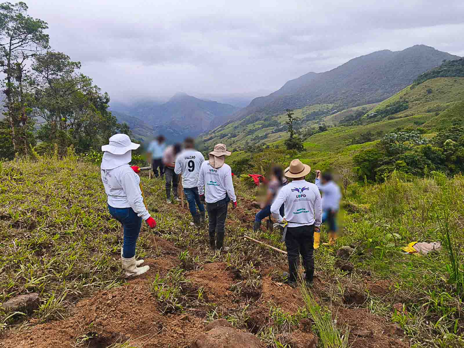 Grupo de profesionales y personal humanitario con chaquetas de la UBPD y sombreros para el sol trabajando en la ladera de una montaña verde, excavando la tierra en búsqueda humanitaria.