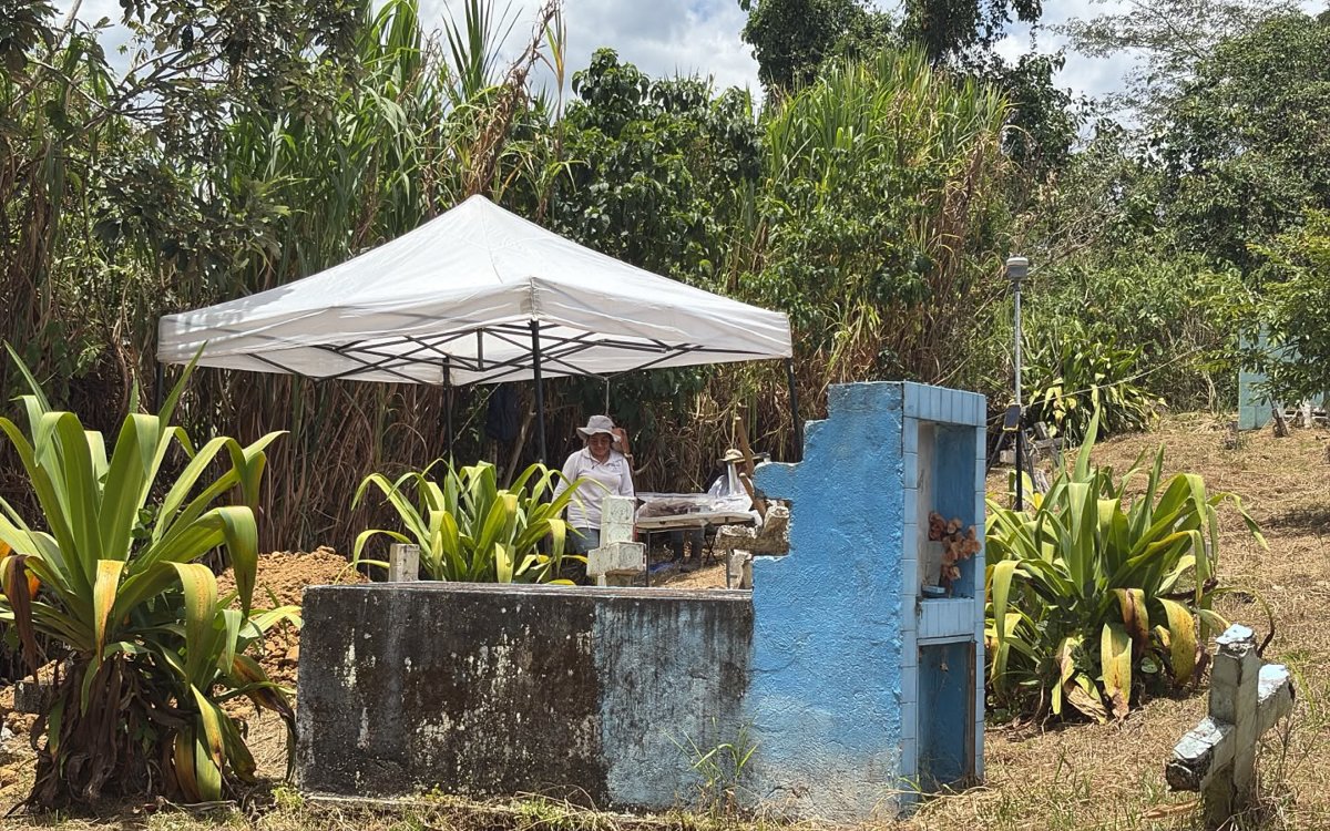 Instalación de una carpa blanca de apoyo para labores de exhumación e inspección sobre una tumba de cemento desgastado con detalles en azul. Alrededor hay plantas de agave, cruces de piedra y vegetación verde tupida al fondo.