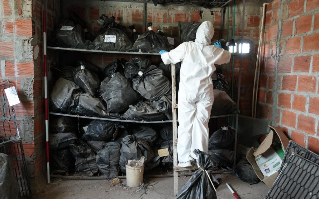 Una persona protegida con un traje de bioseguridad blanco de cuerpo entero y guantes azules sube a una pequeña escalera de madera para revisar bolsas plásticas oscuras con etiquetas numeradas en un estante metálico. El entorno muestra paredes de ladrillo sin pañetar e iluminación focalizada.