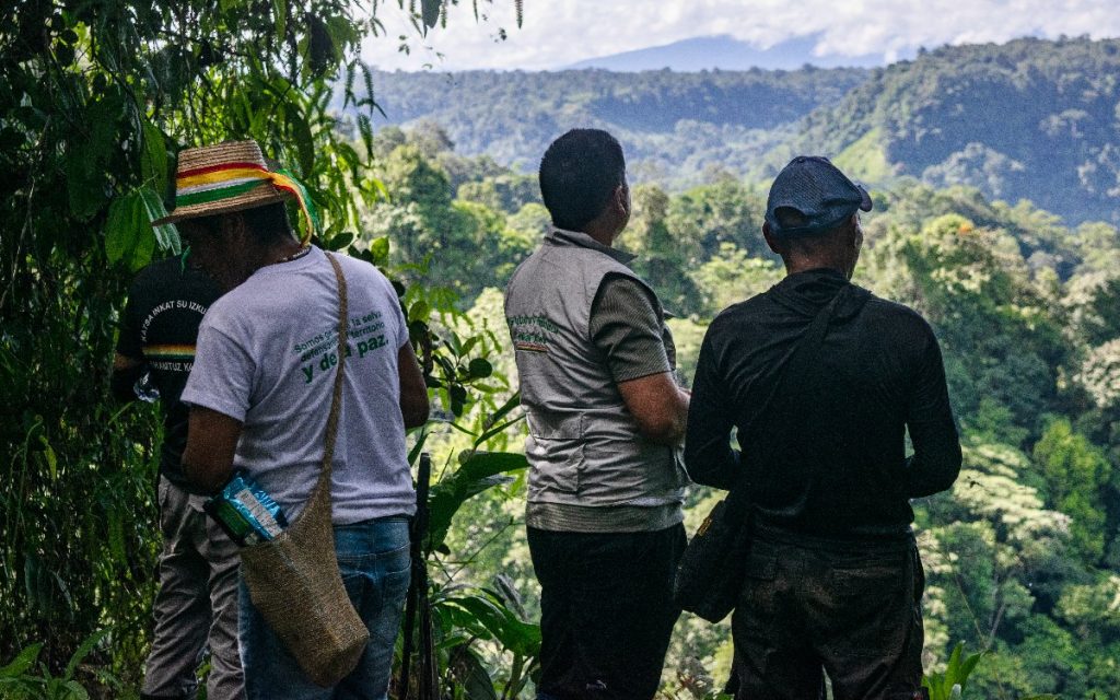 Plano posterior medio de tres personas paradas al borde de un terreno elevado observando la vegetación selvática y las montañas a lo lejos. La persona de la izquierda lleva un sombrero de paja con cintas de colores y una camiseta blanca con letras impresas en la espalda. A su lado, dos compañeros observan el horizonte.