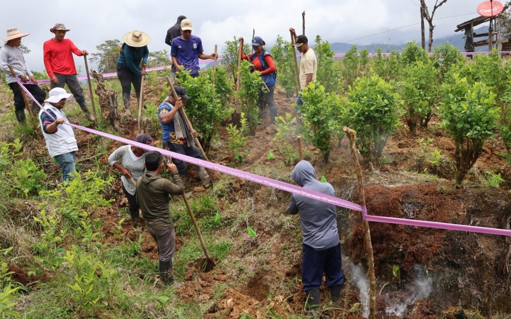Fotografía al aire libre en un terreno empinado con vegetación donde un grupo de personas realiza labores de excavación manual con palas. Se observan banderas verdes clavadas en el suelo como señalización y una cinta rosa que delimita el perímetro de la Misión Humanitaria. En la parte inferior derecha sale humo blanco de una de las cavidades del terreno.