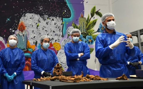 bogota-nuevo-centro-integral-abordaje-forense-identificacion-ciafi-julio-2026-99