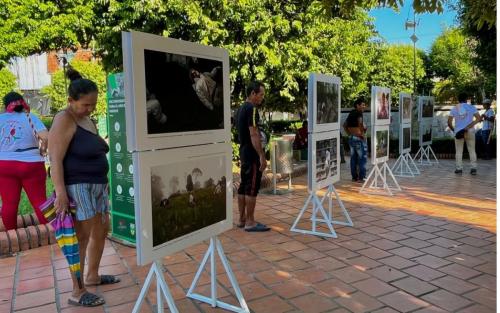 exposicion-camino_busqueda_nal_2025_14