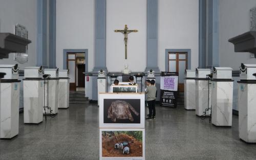 exposicion-camino_busqueda_nal_2025_9